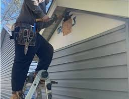 Best Historical Building Siding Restoration  in Nokomis, IL